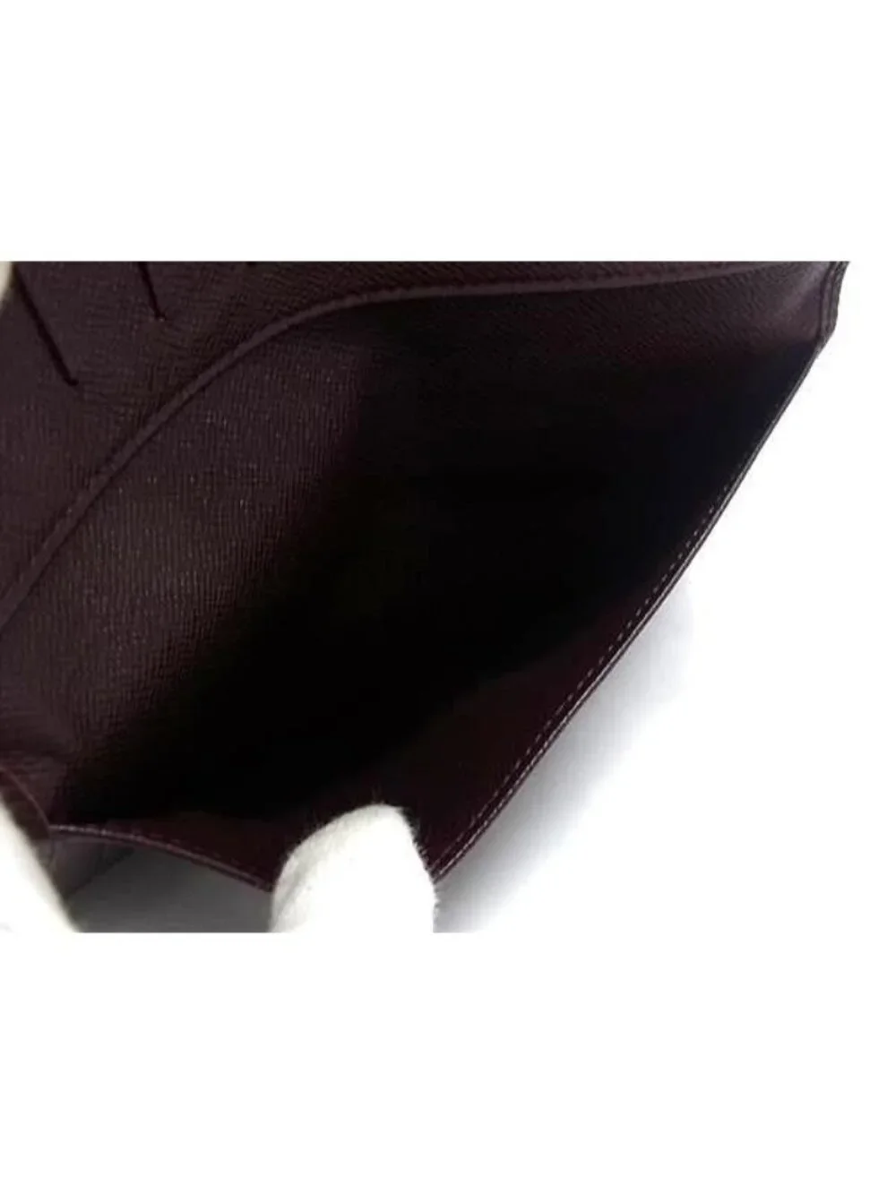 Louis Vuitton brand louis